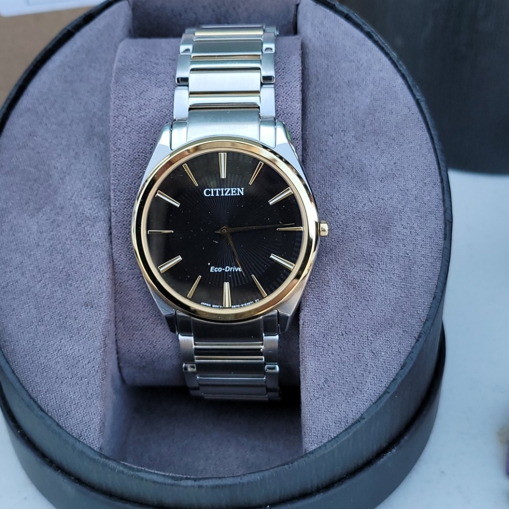 Citizen Echo Drive Watch